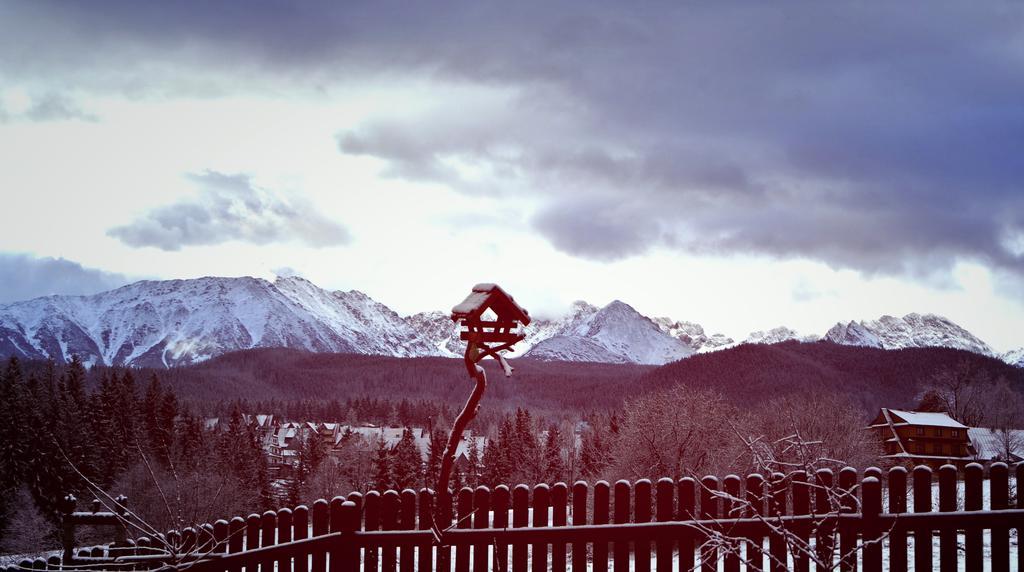 zwijaczówka Bed and Breakfast Zakopane Buitenkant foto