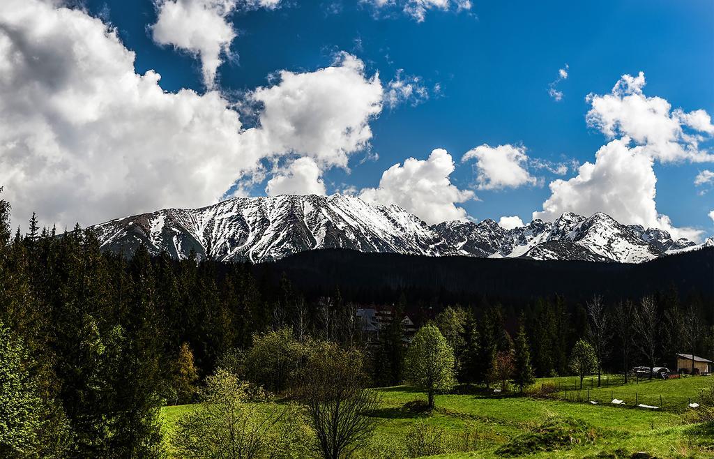 zwijaczówka Bed and Breakfast Zakopane Buitenkant foto